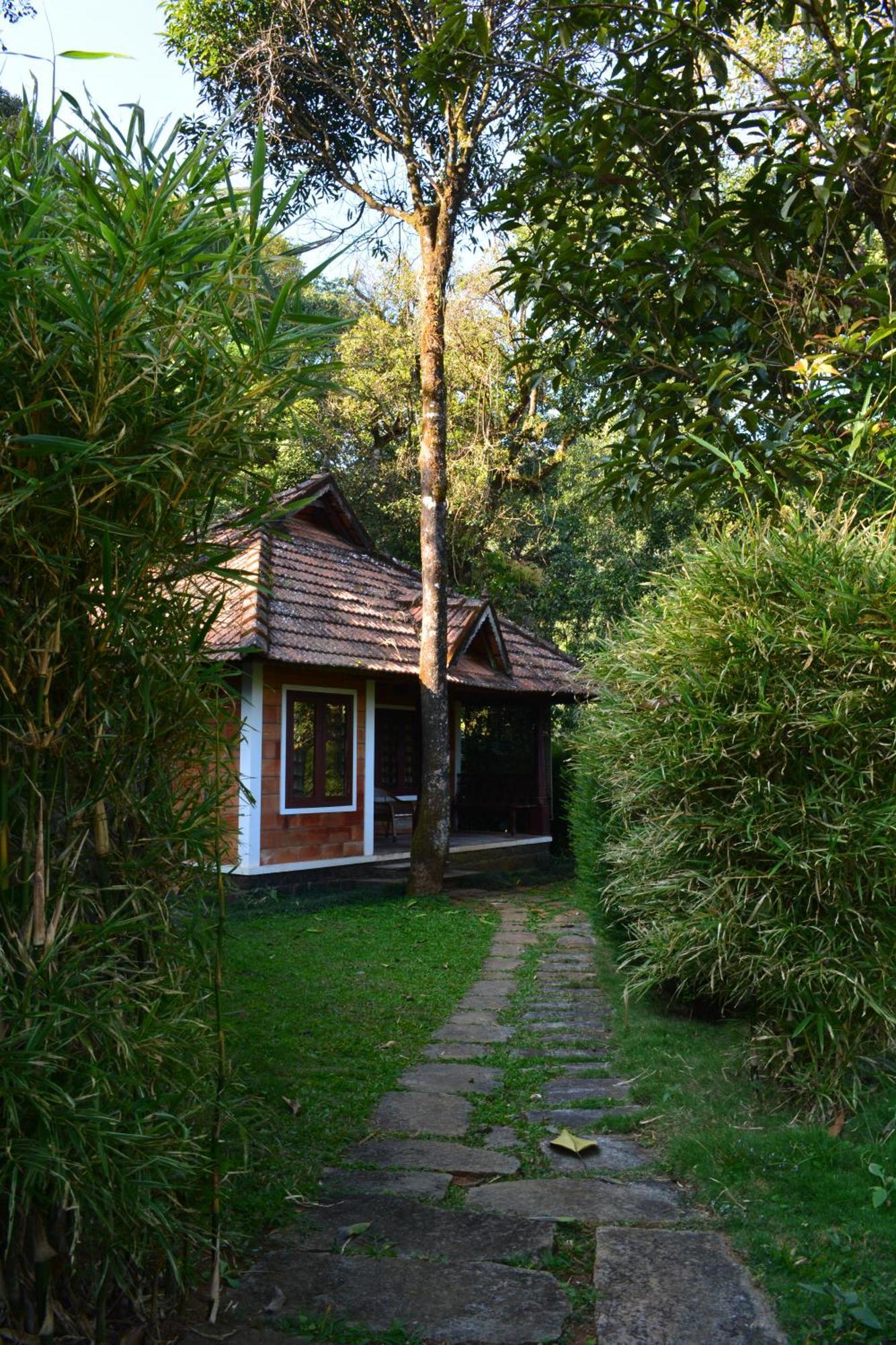 Misty Woods Resort Kakkabe ห้อง รูปภาพ