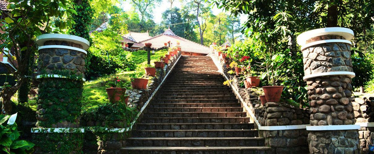 Misty Woods Resort Kakkabe ภายนอก รูปภาพ