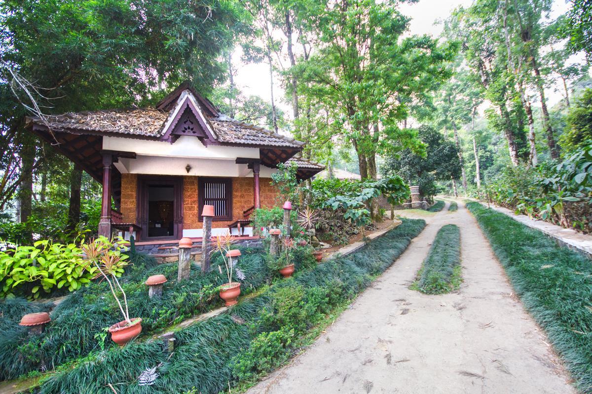 Misty Woods Resort Kakkabe ภายนอก รูปภาพ
