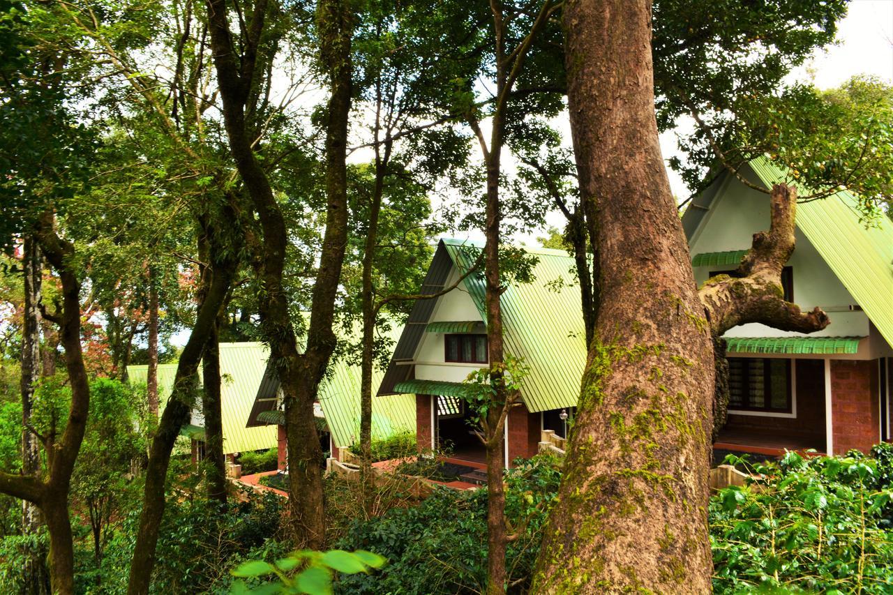 Misty Woods Resort Kakkabe ภายนอก รูปภาพ
