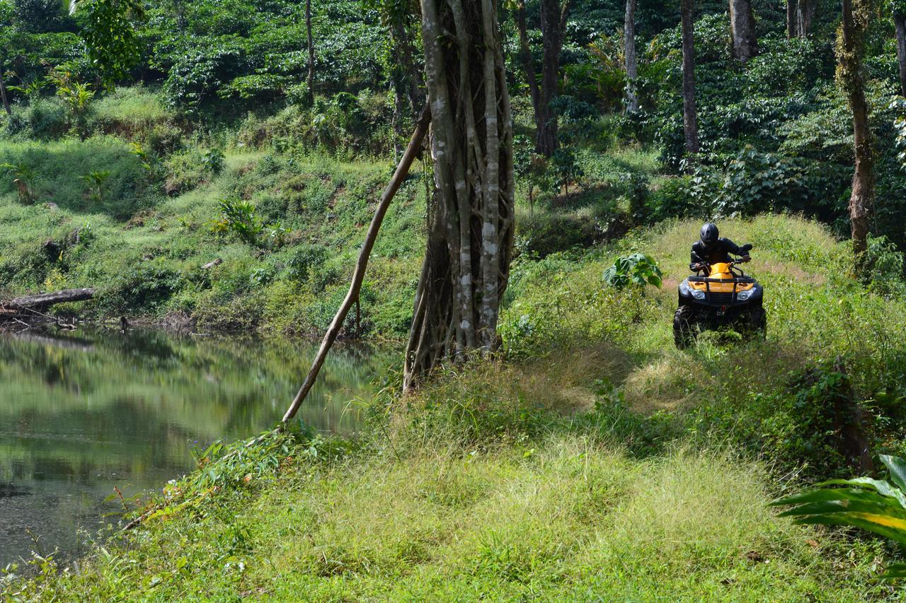 Misty Woods Resort Kakkabe ภายนอก รูปภาพ